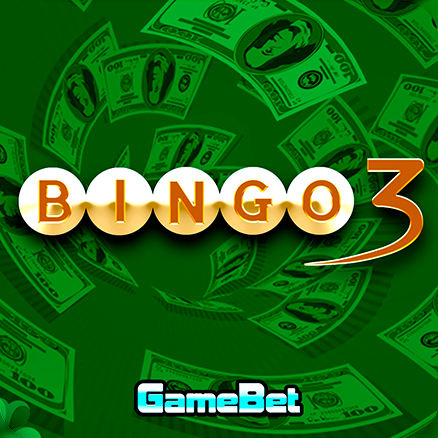 Bingo 3